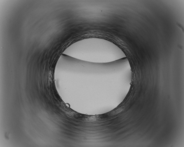 X0000103490382200809120955