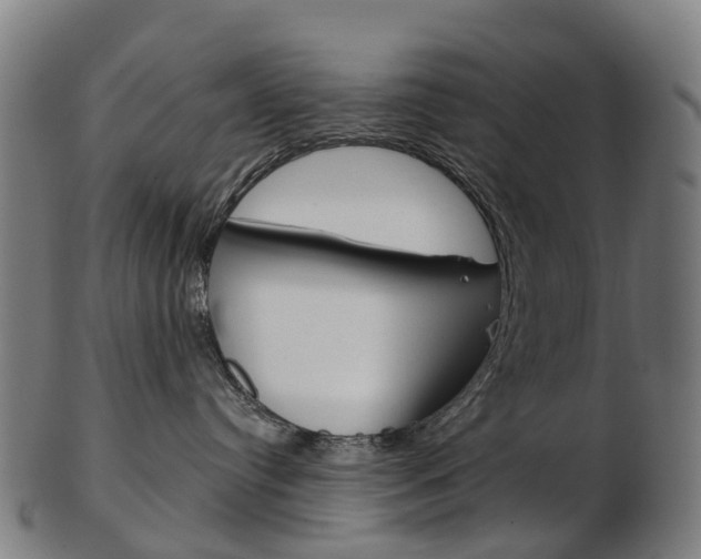 X0000103490384200809120955