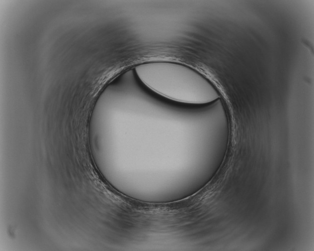 X0000103490385200809120955
