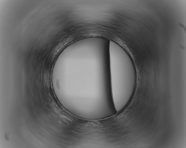 X0000103490386200809120955