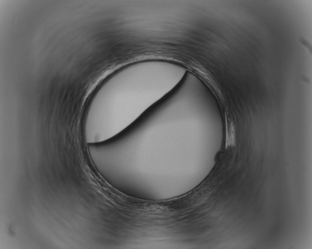 X0000103490387200809120955