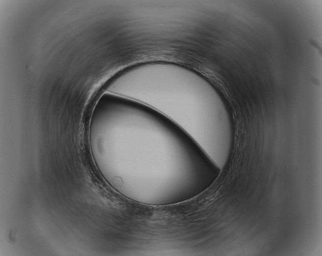 X0000103490388200809120955
