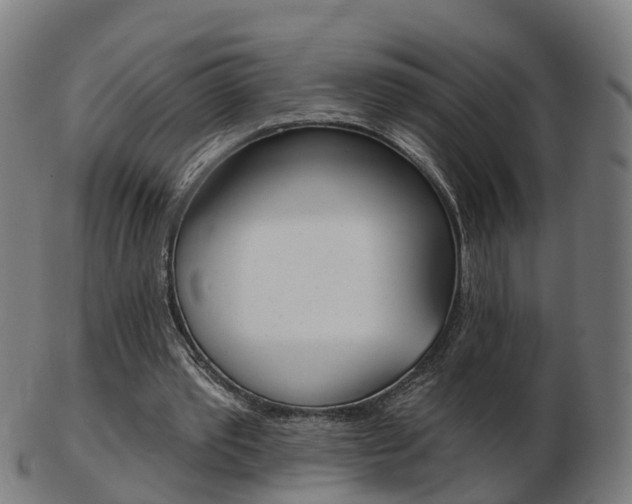 X0000103490389200809120955