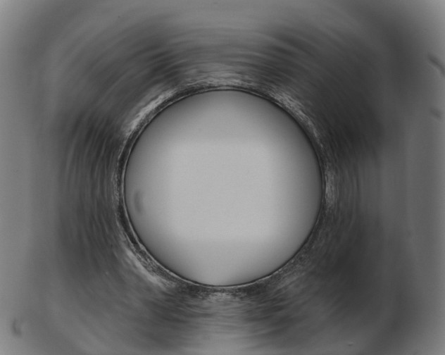 X0000103490390200809120955