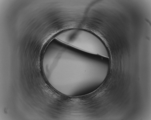 X0000103490391200809120955