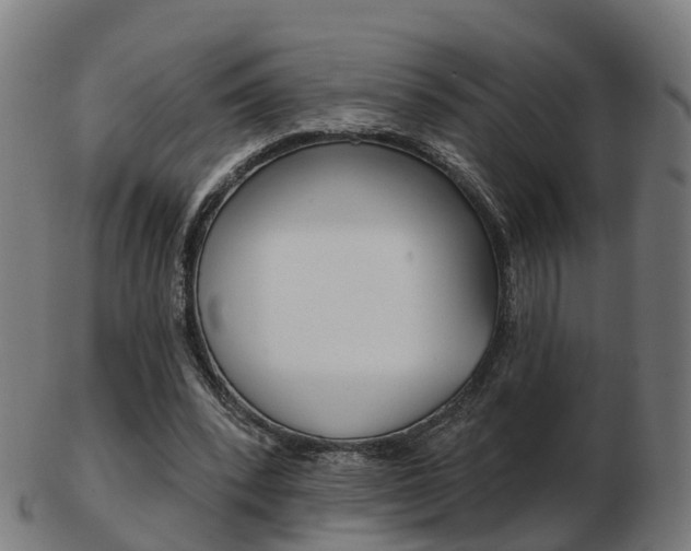 X0000103490392200809120955