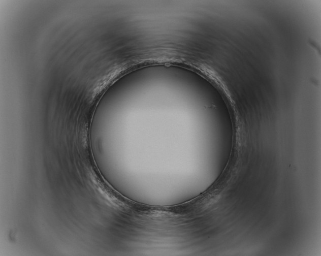 X0000103490393200809120955