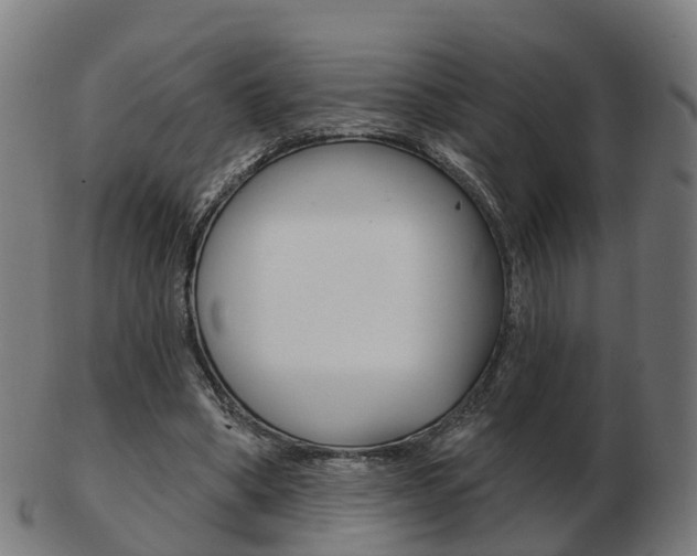 X0000103490394200809120955