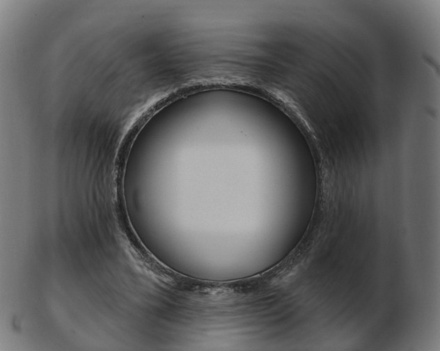 X0000103490395200809120955