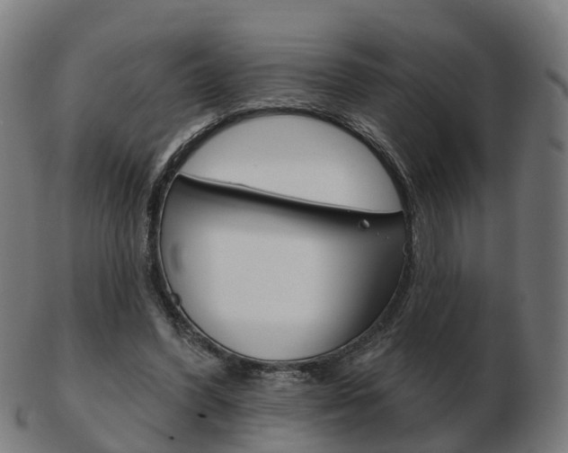 X0000103490396200809120955