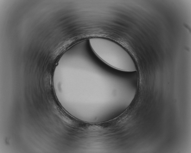 X0000103490397200809120955