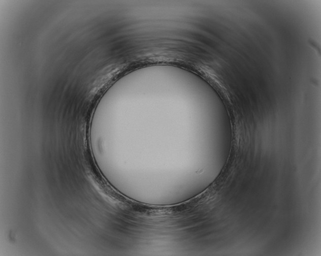 X0000103490398200809120954