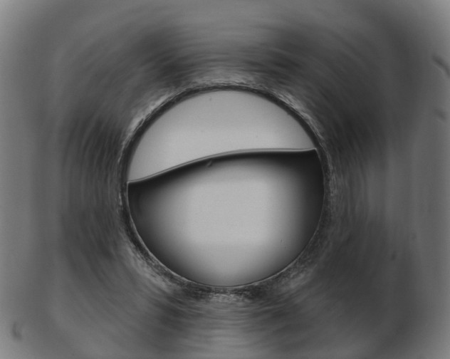 X0000103490399200809120954