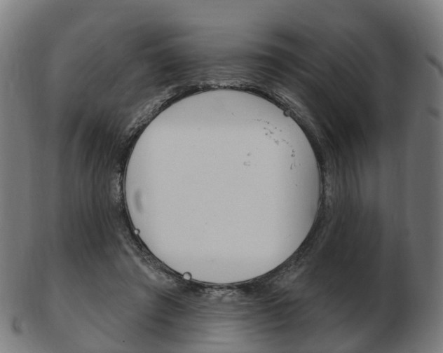 X0000103490401200809120954