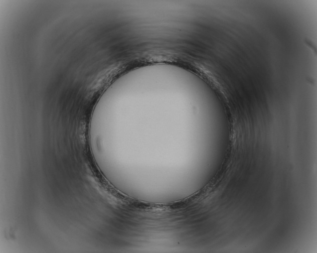 X0000103490402200809120954