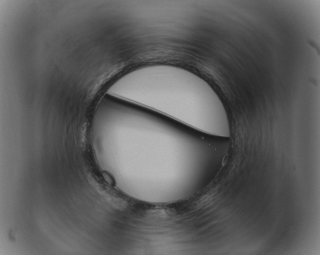 X0000103490404200809120954