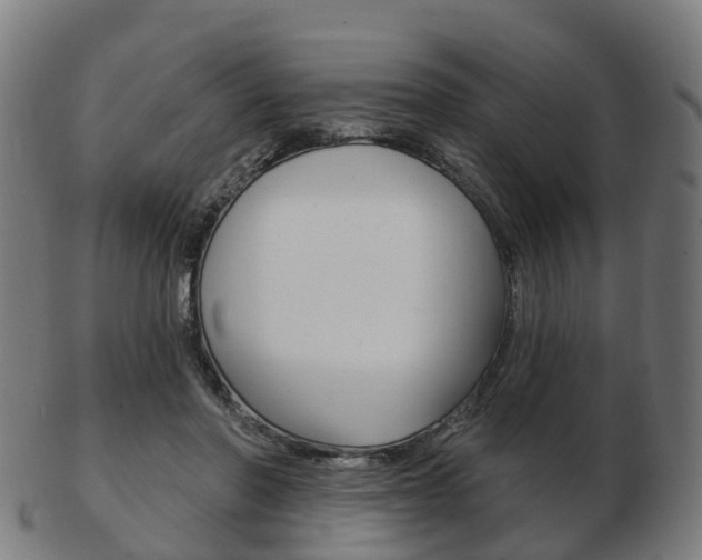 X0000103490406200809120954