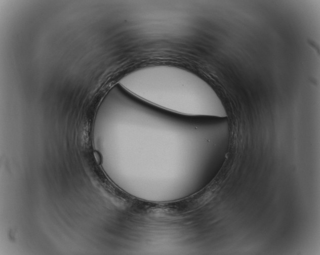 X0000103490408200809120954