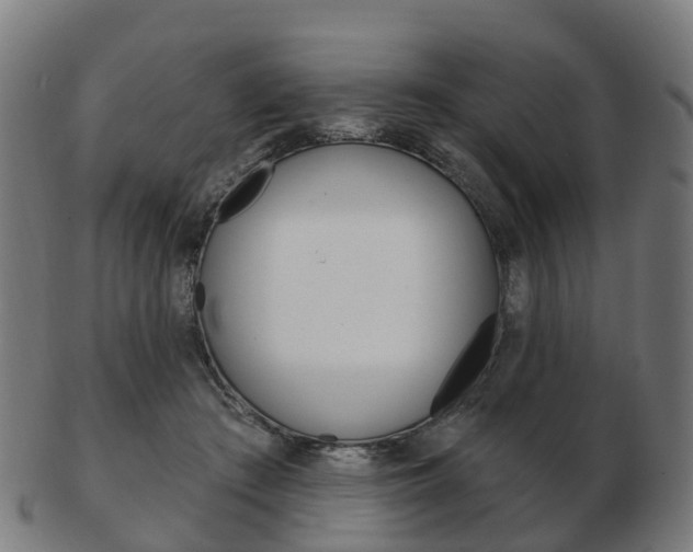 X0000103490409200809120954