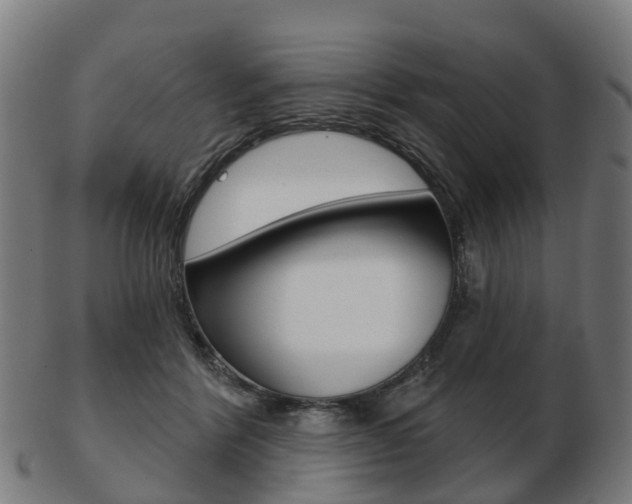 X0000103490412200809120954