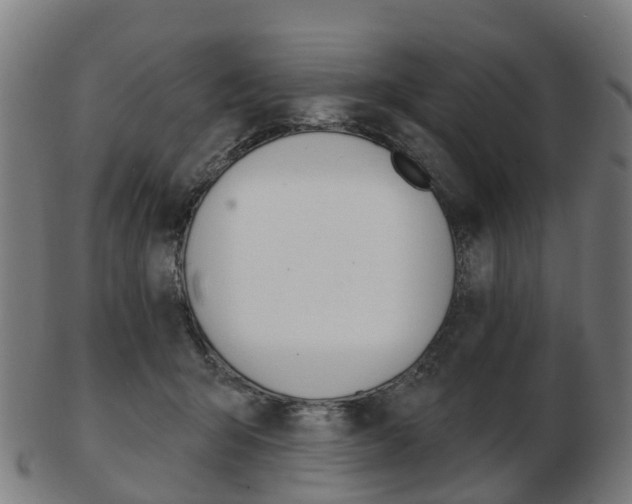 X0000103490415200809120954