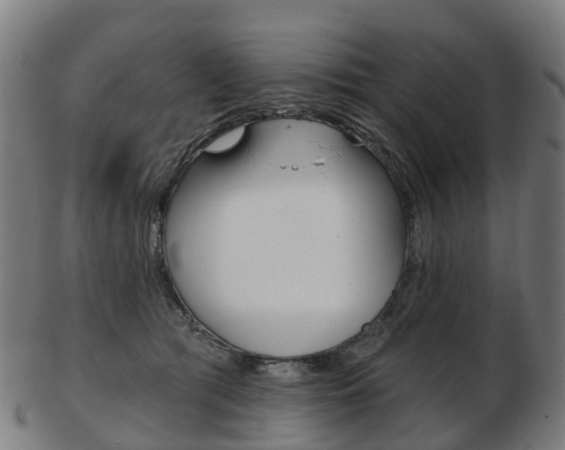 X0000103490417200809120954