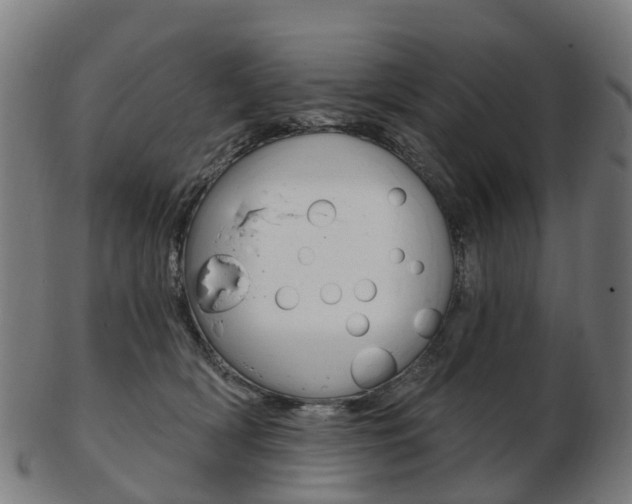 X0000103490418200809120954