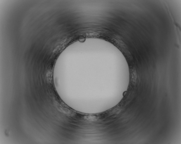 X0000103490419200809120954