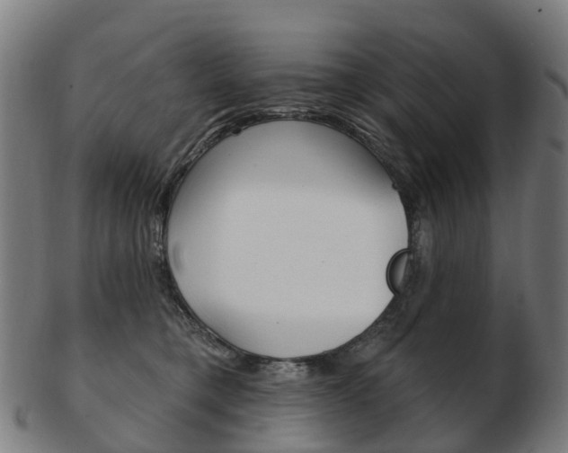 X0000103490421200809120954
