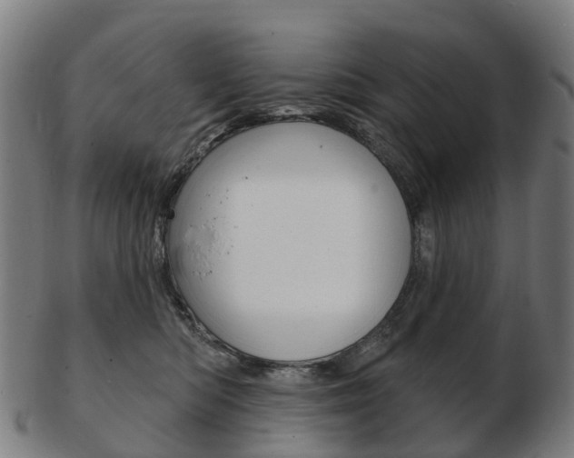 X0000103490422200809120954