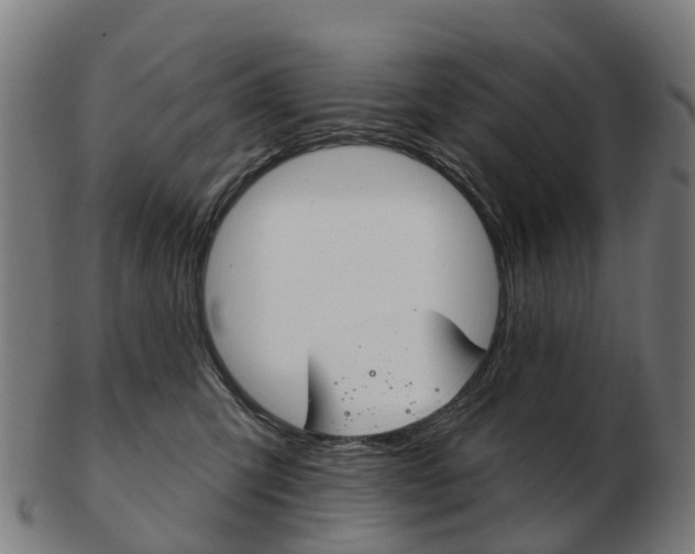 X0000103490423200809120954