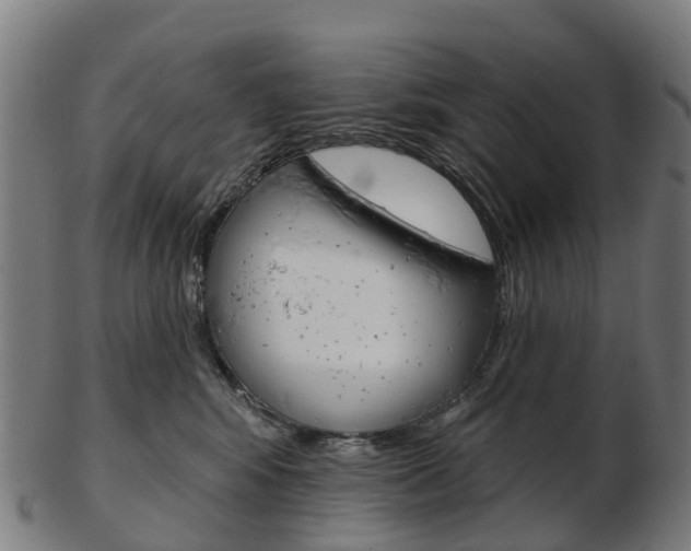 X0000103490424200809120954