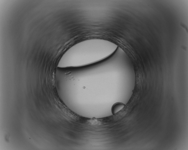 X0000103490425200809120954