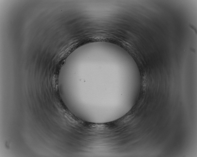 X0000103490428200809120954