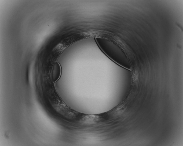 X0000103490429200809120954