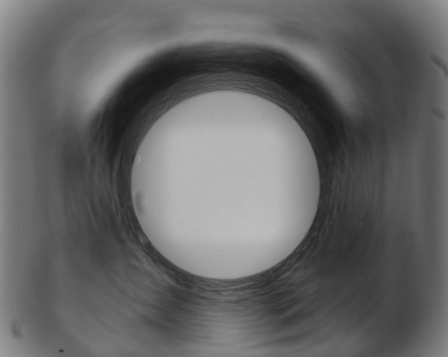 X0000103490431200809120954