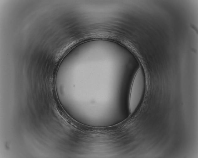 X0000103490434200809120953