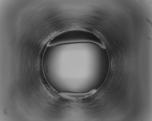 X0000103490436200809120953