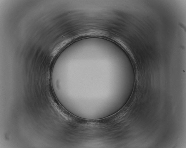 X0000103490437200809120953