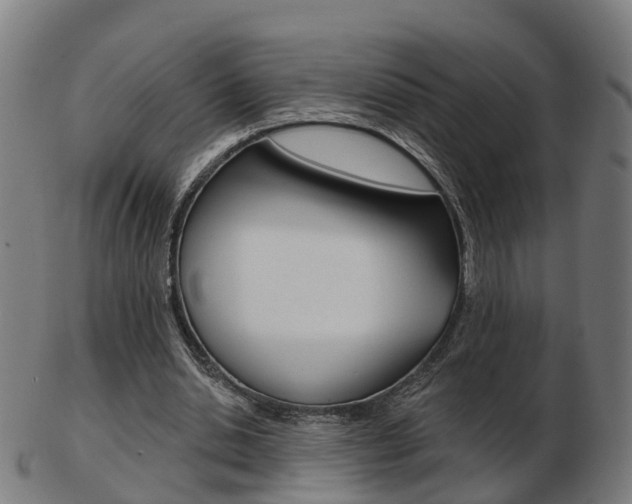 X0000103490438200809120953