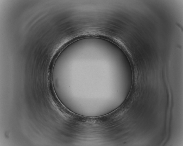 X0000103490439200809120953