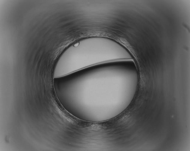 X0000103490441200809120953
