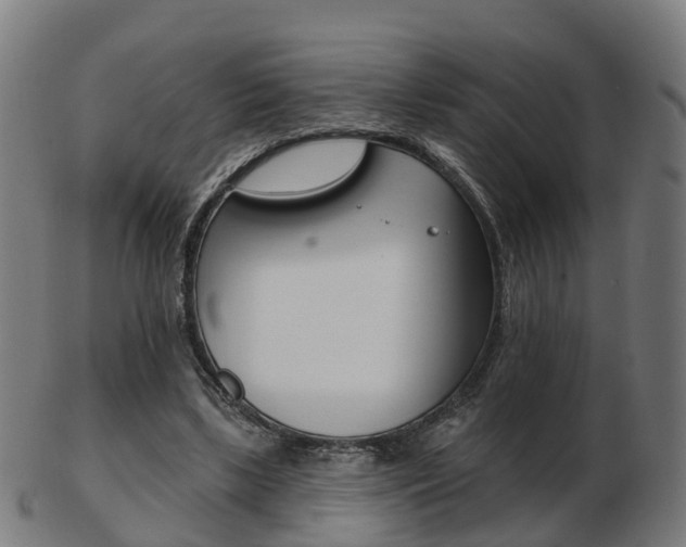 X0000103490443200809120953