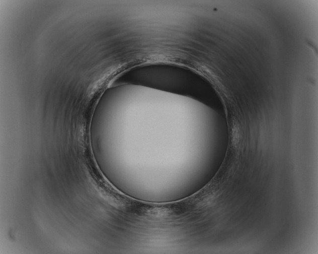 X0000103490444200809120954