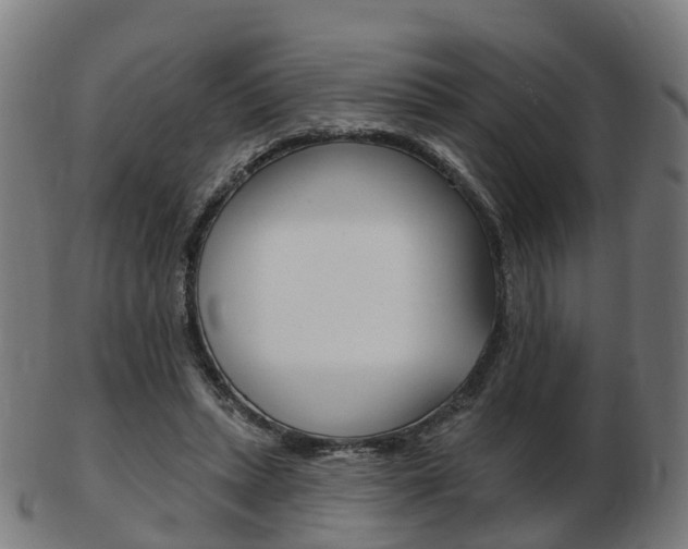 X0000103490447200809120954