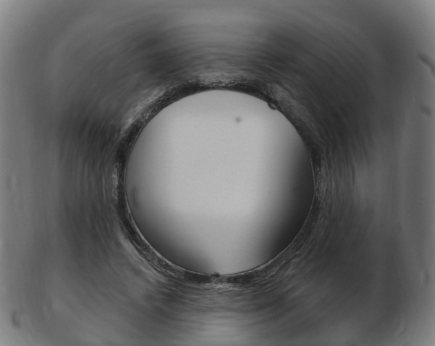 X0000103490448200809120954