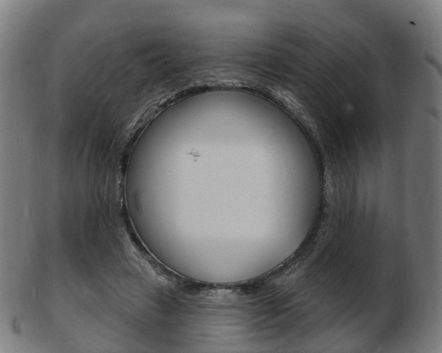 X0000103490449200809120954
