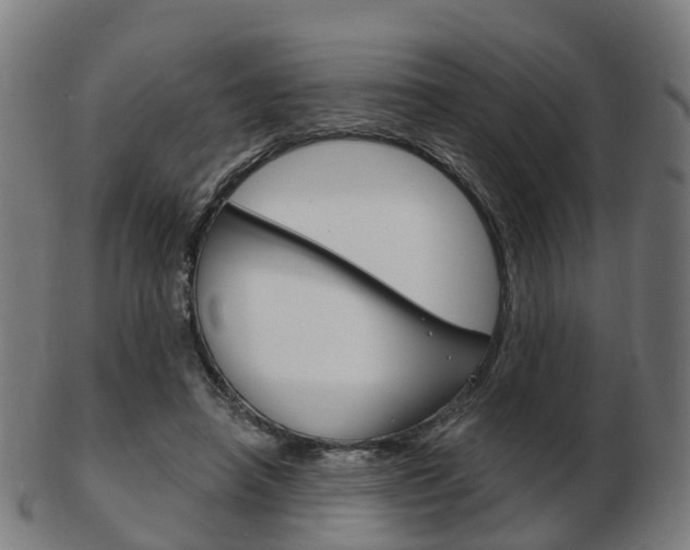 X0000103490450200809120954
