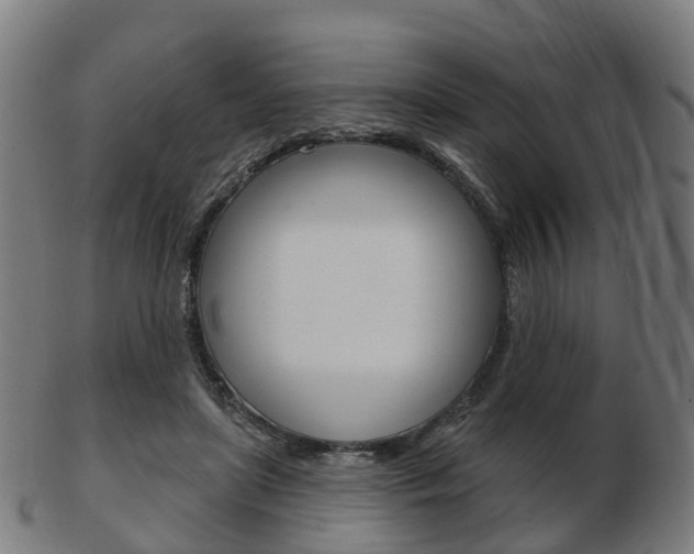 X0000103490451200809120954