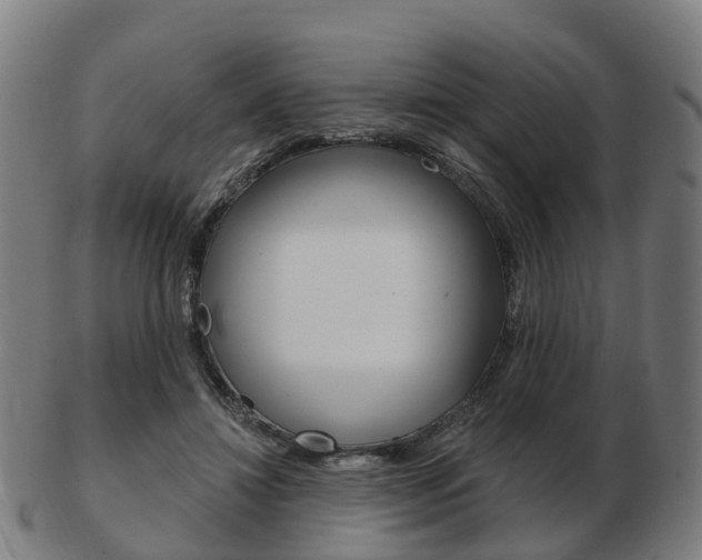 X0000103490452200809120954
